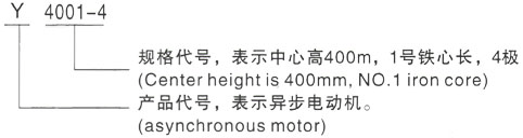 西安泰富西玛Y系列(H355-1000)高压番阳镇三相异步电机型号说明