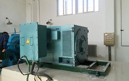 番阳镇某水电站工程主水泵使用我公司高压电机